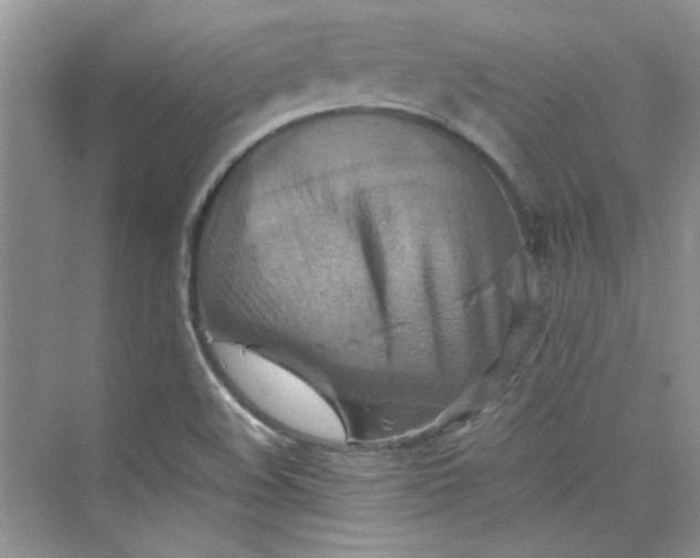 X0000075811508200609291331