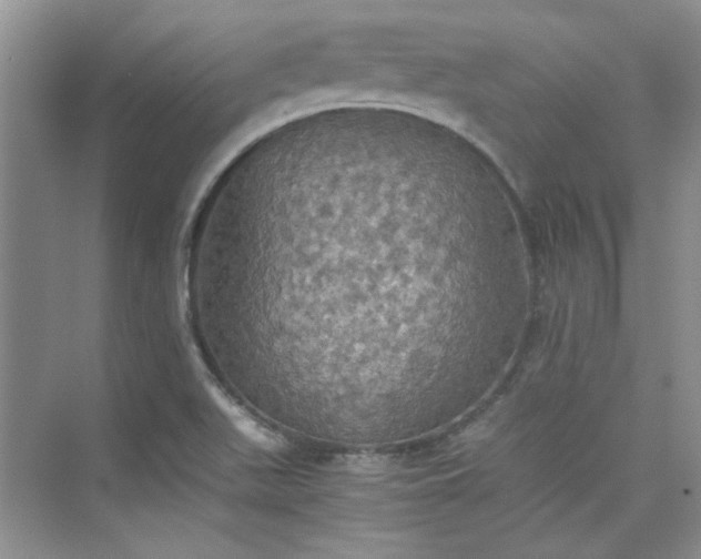 X0000075811511200609291331