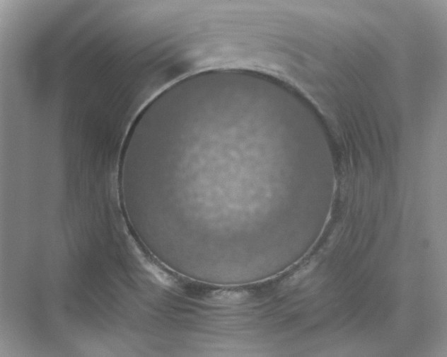 X0000075811513200609291332