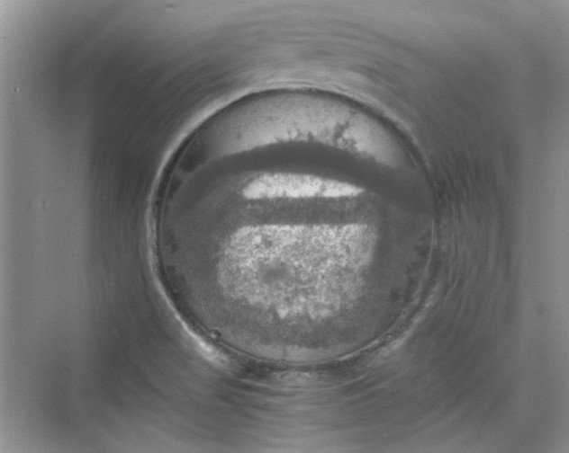 X0000075811517200609291332