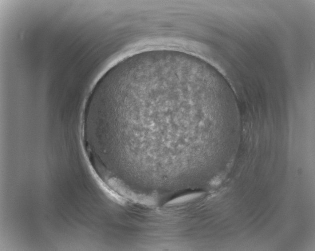 X0000075811523200609291332