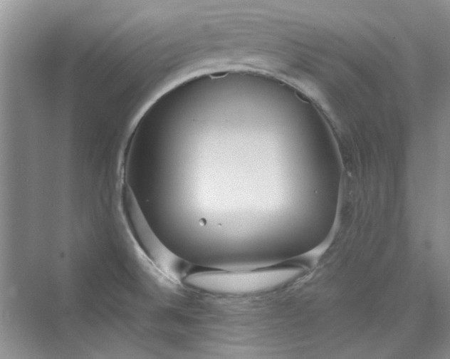 X0000075811524200609291332