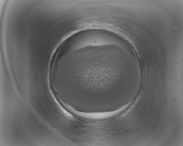 X0000075811525200609291332