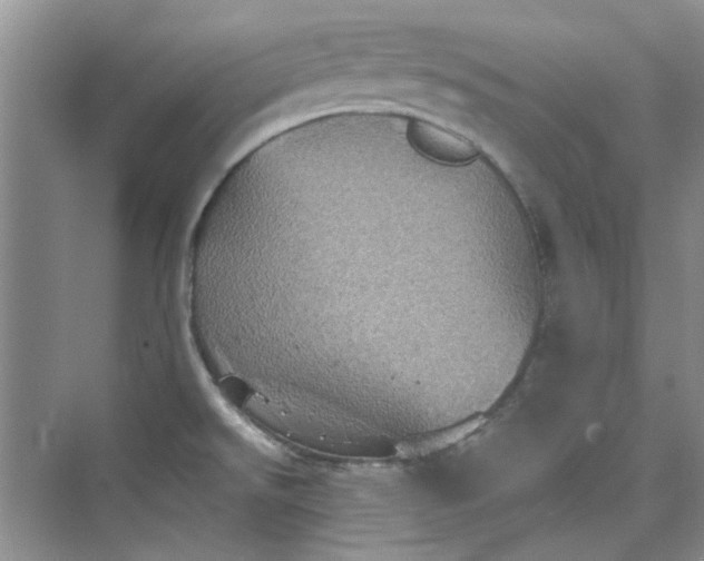 X0000075811526200609291332