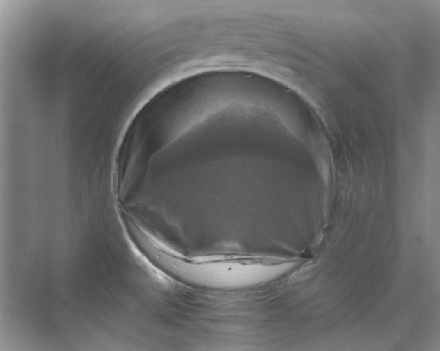 X0000075811527200609291332