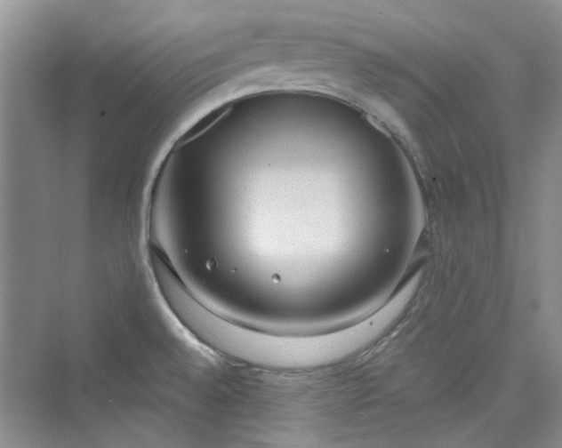 X0000075811528200609291332