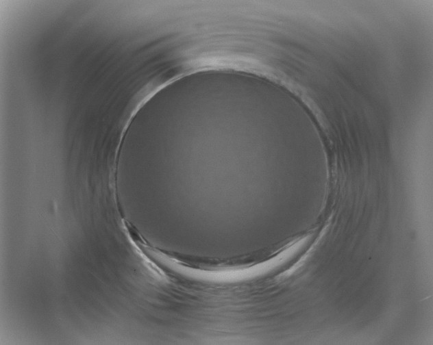 X0000075811529200609291332