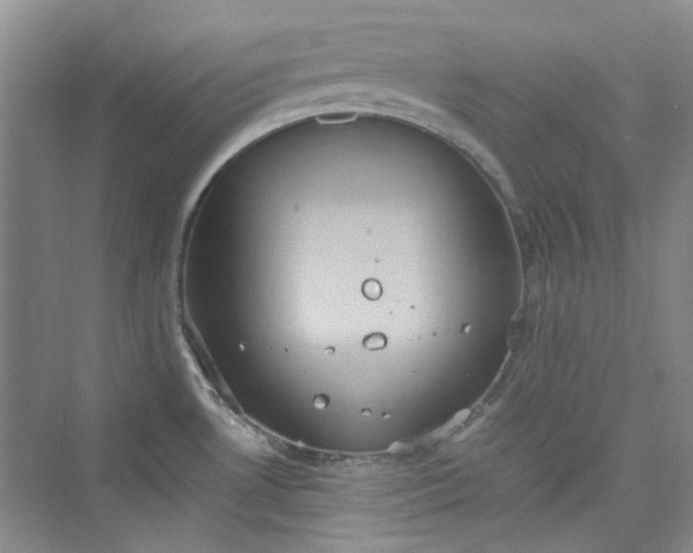 X0000075811530200609291332