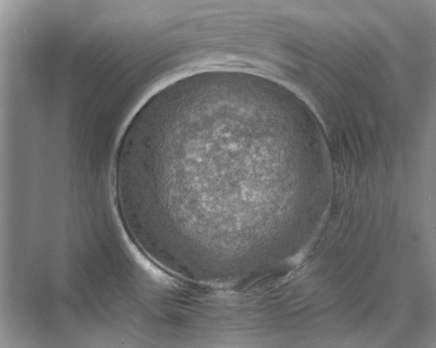 X0000075811531200609291332