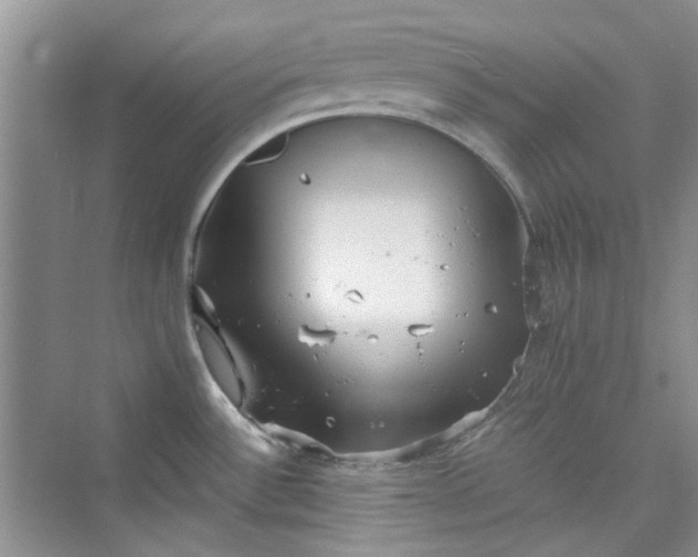 X0000075811532200609291332