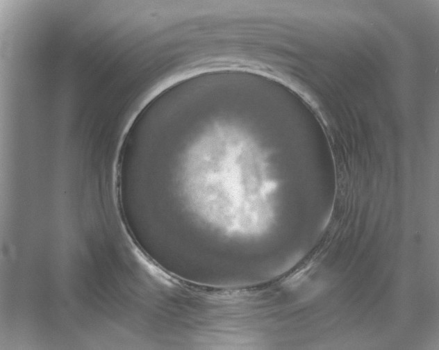 X0000075811535200609291332