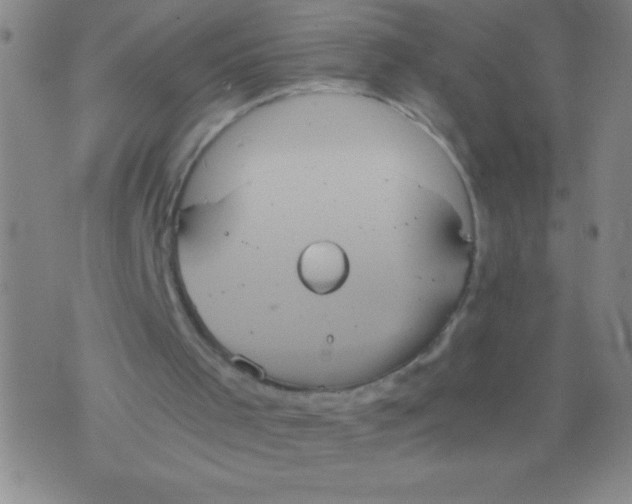 X0000075810001200610061743