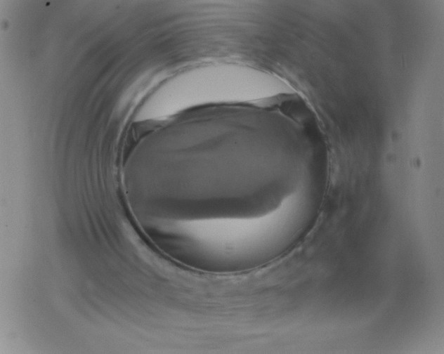 X0000075810002200610061743