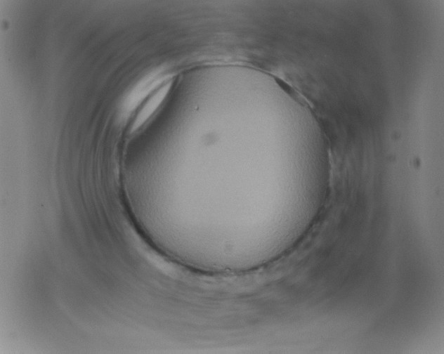 X0000075810005200610061743