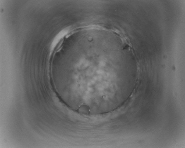 X0000075810006200610061743