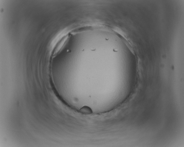 X0000075810007200610061743