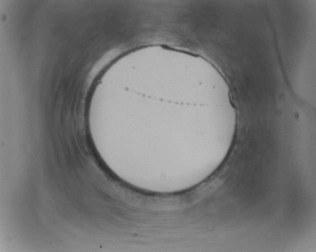 X0000075810008200610061743