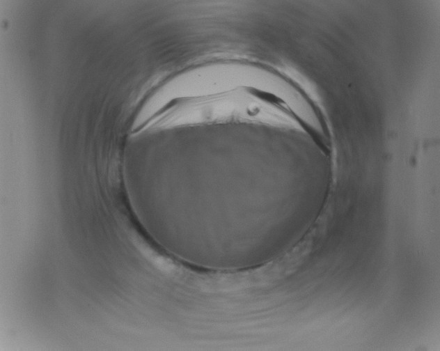 X0000075810009200610061743