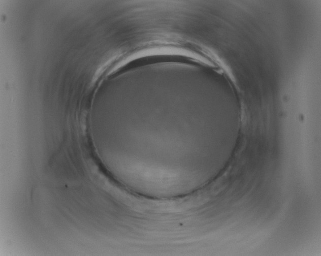 X0000075810010200610061743