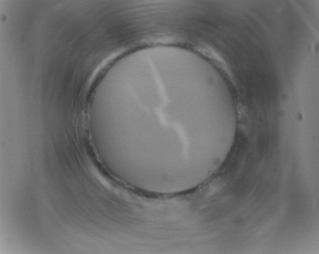 X0000075810012200610061743