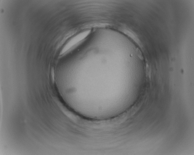 X0000075810013200610061743