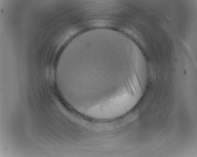 X0000075810016200610061743