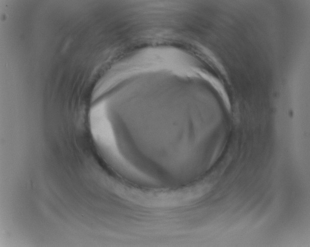 X0000075810018200610061743