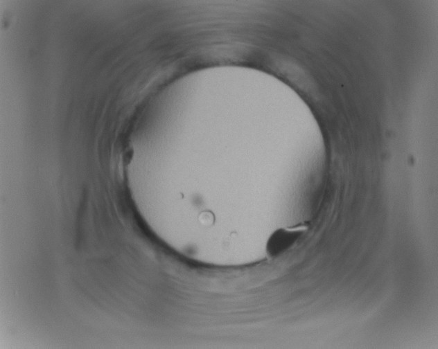 X0000075810021200610061743