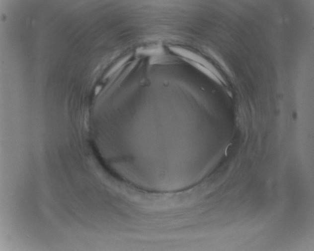 X0000075810023200610061743