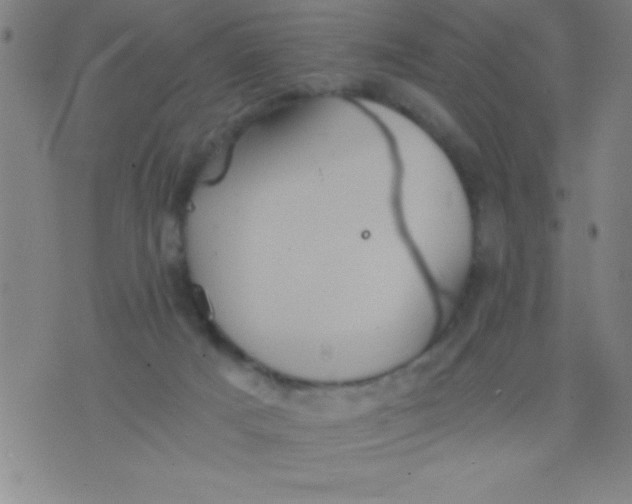 X0000075810025200610061743