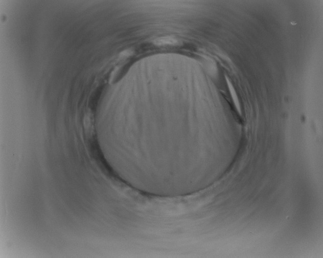 X0000075810029200610061743