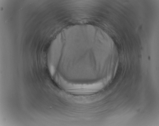 X0000075810030200610061743