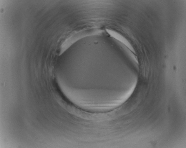 X0000075810031200610061743