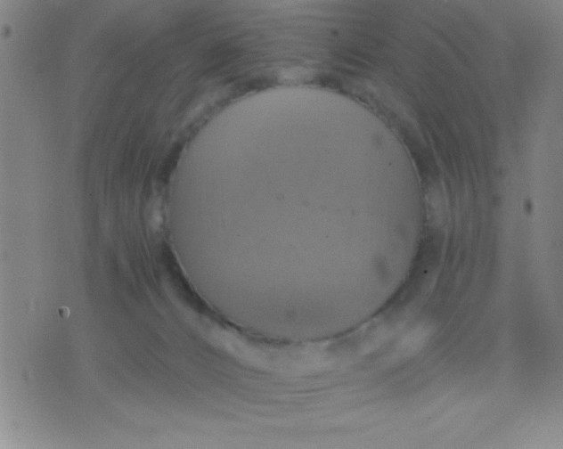 X0000075810032200610061743