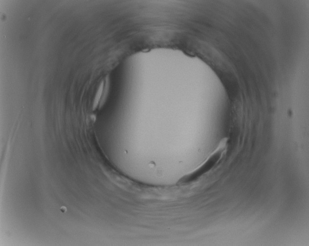 X0000075810033200610061743