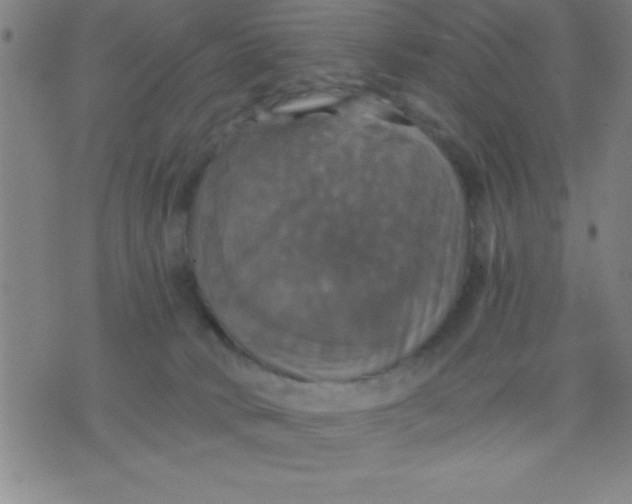 X0000075810034200610061743