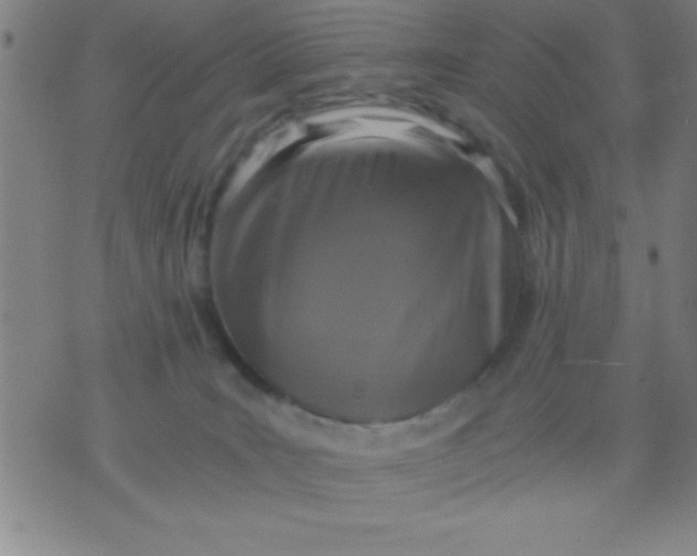 X0000075810035200610061743