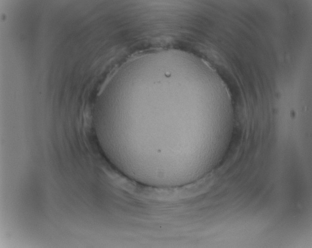 X0000075810037200610061743