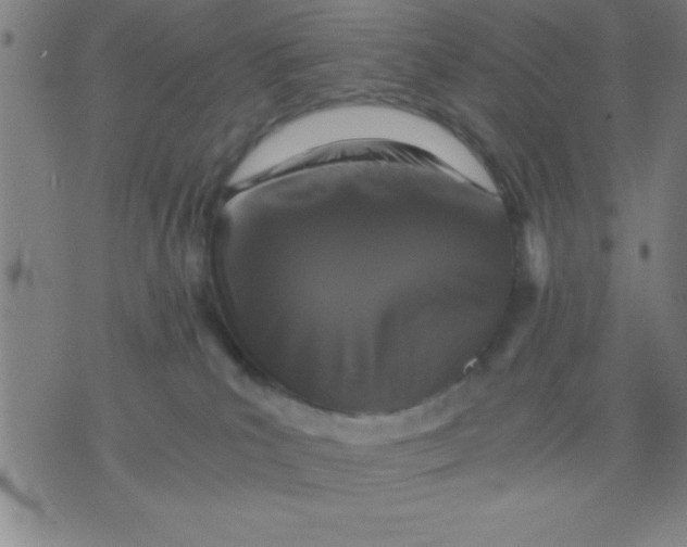 X0000075810039200610061743