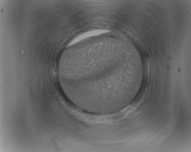 X0000075810040200610061743