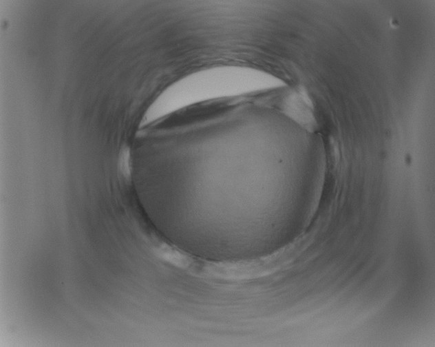 X0000075810041200610061743