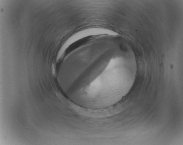 X0000075810042200610061743