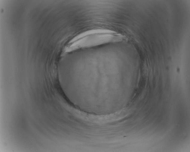 X0000075810043200610061743