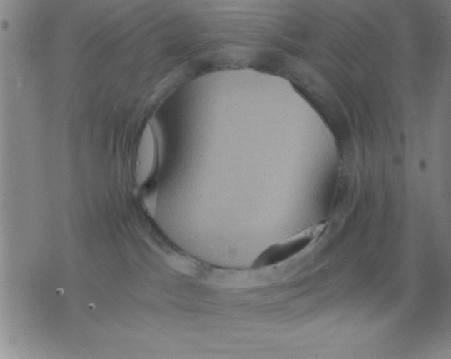 X0000075810045200610061743