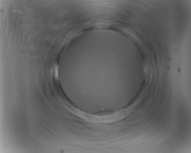 X0000075810046200610061743