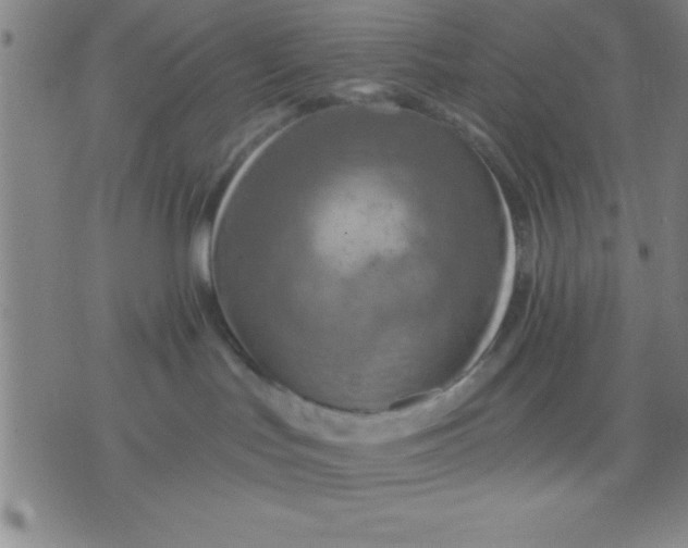 X0000075810047200610061743