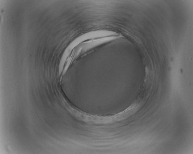 X0000075810048200610061743