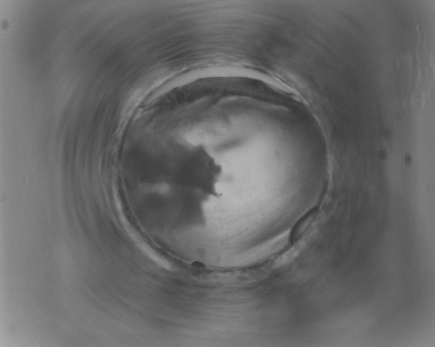 X0000075810049200610061742