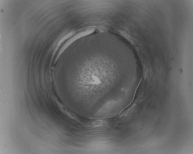 X0000075810050200610061742