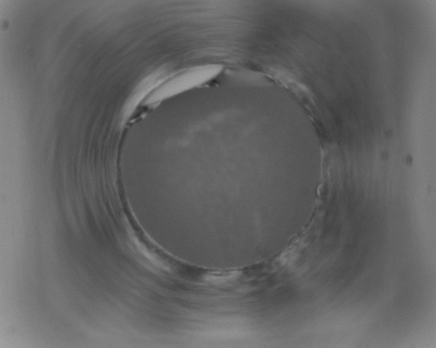 X0000075810051200610061742